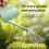 Keplin 1.8L Plastic Plants Watering Can with Plastic Sprinkler, Green 6