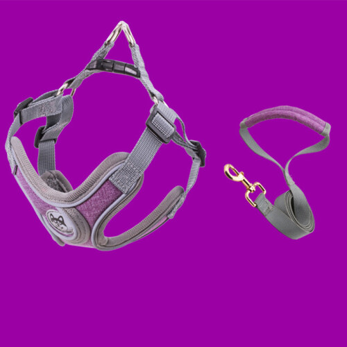Breathable Reflective Dog Harness with 1.5m Leash, Purple, Small/Medium 1