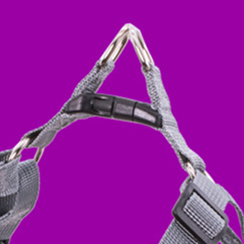 Breathable Reflective Dog Harness with 1.5m Leash, Purple, Small/Medium 2