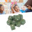 20pcs Light Green Plus Minus Sign Dice Set 16mm for Math Teaching 15