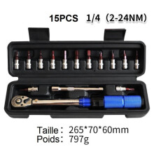 Torque Wrench Set, 15-Piece with 14 Bits 1.4 Inch Square Drive for Automotive Repair