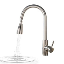 Pull Out Kitchen Tap in Brushed Nickel with Dual Spray and 12 Inch Extendable Hose, 360 Degree Swivel Spout