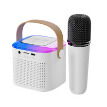Tragbarer Bluetooth-Lautsprecher mit Mikrofon, farbenfrohen RGB-Leuchten, kabelloser Karaoke-Maschine für Gartenpartys, Heimkino, Hi-Fi-Stereo-Sound
