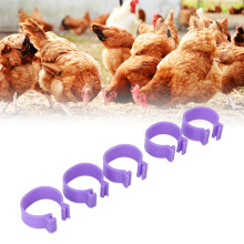 Purple Poultry ID Rings 100 Pack 18mm