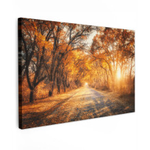 (Forest path, 35"x24") Framed Canvas Wall Art