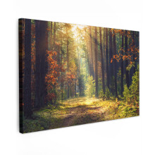 Framed Canvas Wall Art