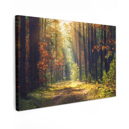 Framed Canvas Wall Art