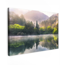 Framed Canvas Wall Art