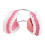 Teeth Model for Teaching PVC Demonstration Kids Kindergarten 8