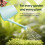 Keplin 1.8L Plastic Plants Watering Can with Plastic Sprinkler, Light Blue 5