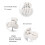Educational Human Foot & Ankle Model Durable Material Demonstration with Base 1