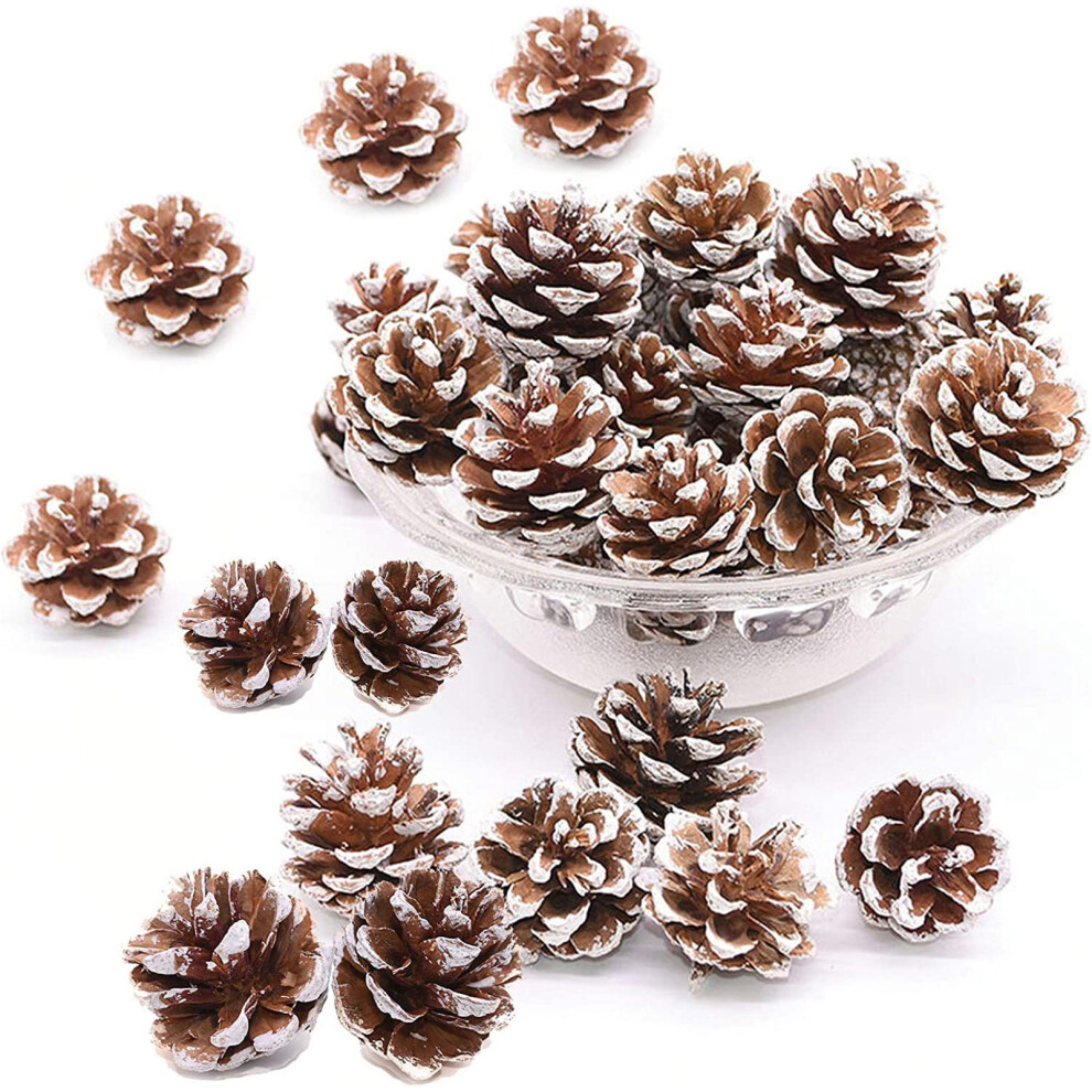 48 Rustic Hanging Pine Cones for Crafts