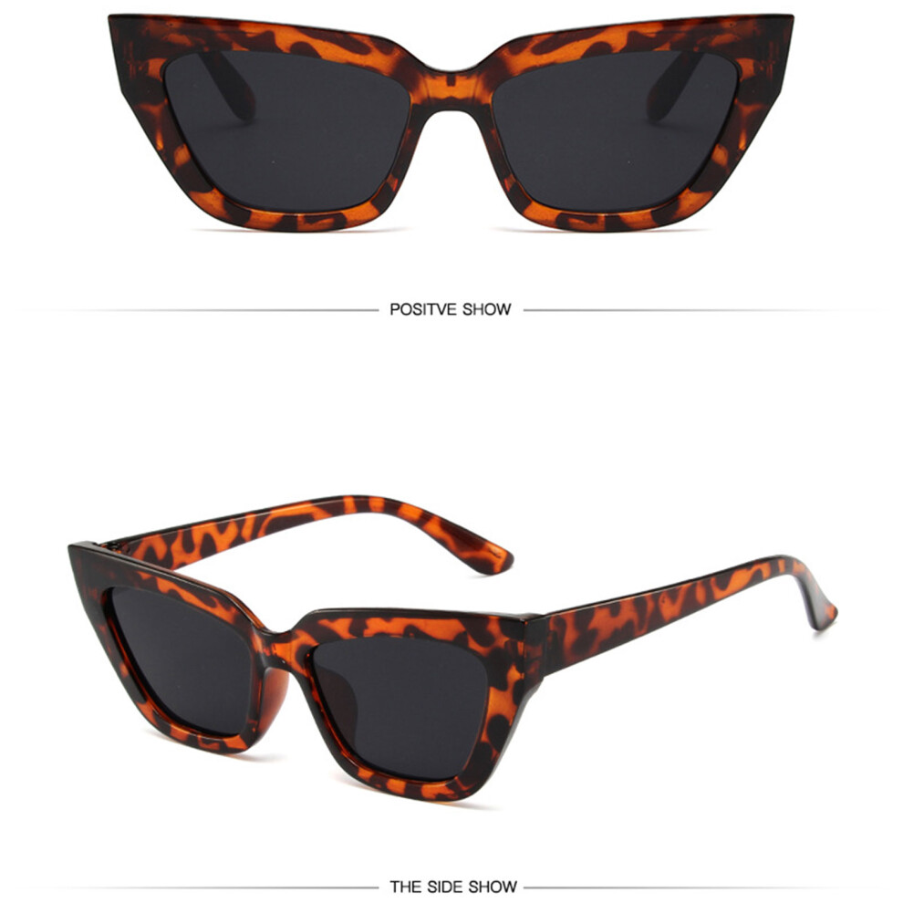 Roc-Electron (Leopard Frame Gray Piece) Vintage Polarized Sunglasses For Men