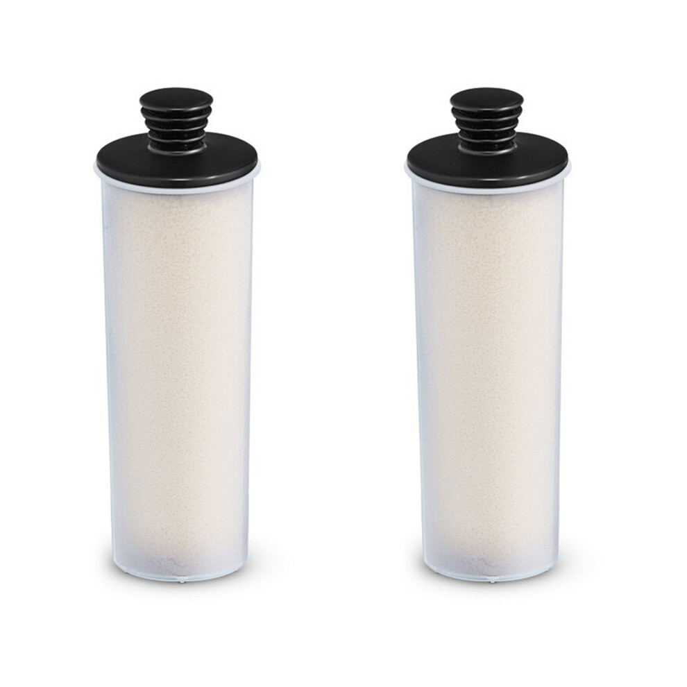 Steam Cleaner Water Purifier Descaling Cartridge For Sc2 Sc3 Clean Water Descaling Filter Premium Upright 2Pcs 6032345760046