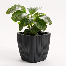 GEEZY Plant Pot with Removable Insert 29cm Indoor Outdoor Home Garden Flower Planter