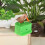 2X Toothpick Dispenser Bird Automatic Bird Toothpick Box Toothpick Holder 3