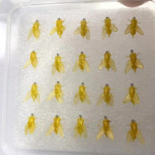 (Yellow, Small (20 pieces/box)) Bionic Fly Fishing Bait with Fish Attractant, Salt/Freshwater