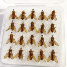 (Brown, Small (20 pieces/box)) Bionic Fly Fishing Bait with Attractant for All Waters