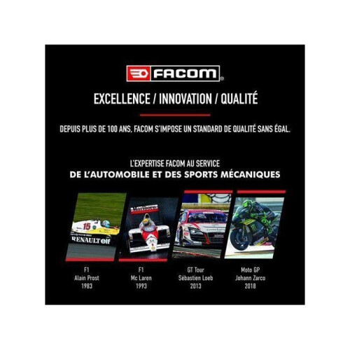 Facom Anti-crystallizing - FACOM - Universal urea - 250 ml 1