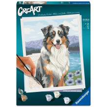 Ravensburger – CreArt 24x30 cm – Erwachsene – Malen nach Zahlen – Australian Shepherd – Kreatives Hobby – 12023114