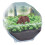 Clementoni CLEMENTONI - Mini Terrarium - Bear 2