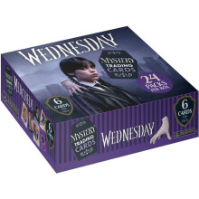 Box - PANINI - Mittwoch 2 - 24 Tüten - 144 Sticker