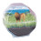Clementoni CLEMENTONI - Mini Terrarium - Lion 2