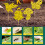 Yellow Sticky Bug Trap with Riser, 11x9cm, 200g 1