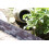 Stone Effect Lawn Edging, Flexible Plastic Garden Border, 2.3m GREY 7