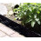 Stone Effect Lawn Edging, Flexible Plastic Garden Border, 2.3m BLACK 5
