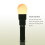 LED Egg Candler Observation Tool 1
