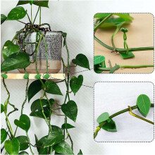 240 Piezas Clips de Fijación de Pared para Plantas Trepadoras Fijador de Plantas, Vides, Jardín, Hoja Verde, Clips de Pared para Plantas, Soporte de