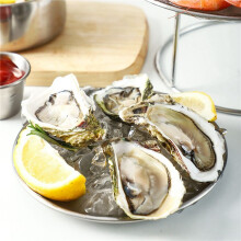 3X Seafood Plate Set Double Stainless Steel Snack Plate Afternoon Tea Cake