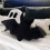 Halloween Bat Plush Pillow Bat Modeling Pillow Halloween Gothic Bat Plush Pillow 2
