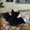 Halloween Bat Plush Pillow Bat Modeling Pillow Halloween Gothic Bat Plush Pillow 4