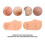 Silicone Socks A1, Size M, Color White, Aloe 8