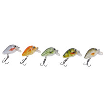 Salt & Freshwater Fishing Lures Kit 5 Pcs Mini Crankbaits Hard Baits with Box