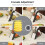 Manual Slicer Multifunction Adjustable Vegetable Food Chopper and Potato Grinder Veggie Chopper Kitchen Tools 6