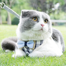 Atmungsaktives Polyester-Mesh-Hundegeschirr für Katzen, Größe M, Blau