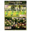 Solar Garden Lights 2 Pack,2 Lighting Modes Waterproof Firefly Light with Artificial Green Leave & Branches 1