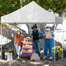 Canopy Weights Canopy Weight Bags,Weights for Outdoor Furniture Canopy Tent Gazebo Pergola Instant