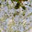 Orchidea artificiale in seta stelo lungo 110 cm 80 g bianca 6