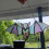 Colorful Bat Window Suncatcher Acrylic 20x8cm 12