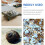 4Pcs Plastic Cleaning Brushes Blue for Turtle and Tortoise Shells 8