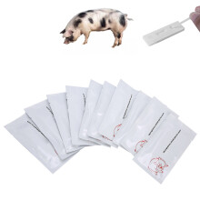 10Pcs Pig Pregnancy Test Strips for Early Livestock Detection