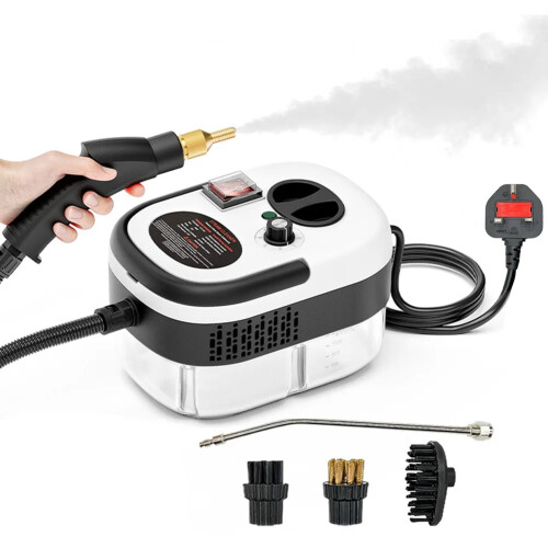 1200ML Handheld Steam Cleaner Fast Heating Portable 1