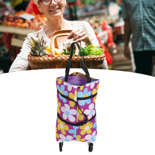 Type1 Collapsible Trolley Bags with Wheel