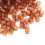 1000PCS Brown Plastic Queen Cell Cups for Beekeeping - Safe & Durable 1