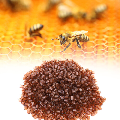 1000PCS Brown Plastic Queen Cell Cups for Beekeeping - Safe & Durable 2