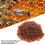 1000PCS Brown Plastic Queen Cell Cups for Beekeeping - Safe & Durable 5